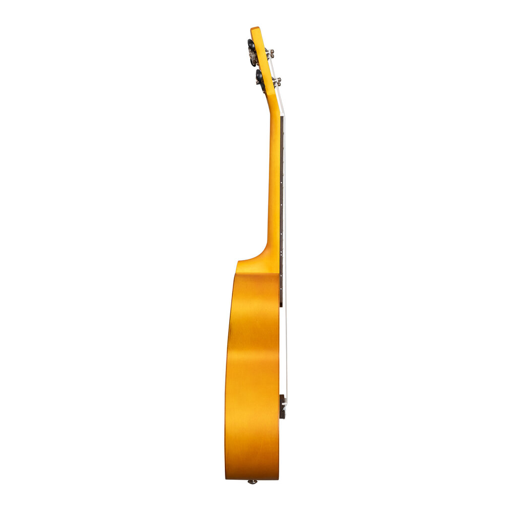 Konserttiukulele Cascha CUC105 hinta ja tiedot | Kitarat | hobbyhall.fi