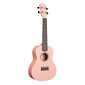 Konserttiukulele Cascha CUC107 hinta ja tiedot | Kitarat | hobbyhall.fi