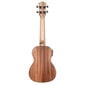 Elektroakustinen konserttiukulele Cascha HH 2035E hinta ja tiedot | Kitarat | hobbyhall.fi