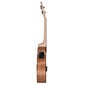 Elektroakustinen konserttiukulele Cascha HH 2035E hinta ja tiedot | Kitarat | hobbyhall.fi