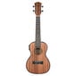 Elektroakustinen konserttiukulele Cascha HH 2035E hinta ja tiedot | Kitarat | hobbyhall.fi