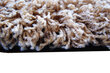 Matto Shaggy Long 03 Ruskea, 160x220 cm hinta ja tiedot | Isot matot | hobbyhall.fi