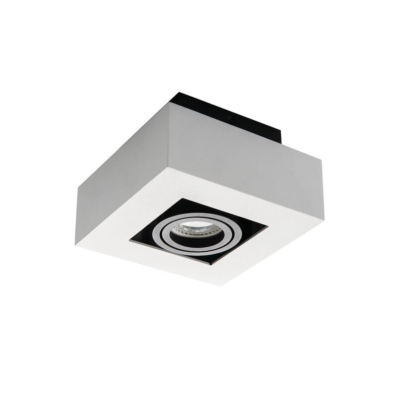 LED-suuntavalo STOBI DLP 50-W hinta ja tiedot | Riippuvalaisimet | hobbyhall.fi