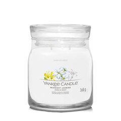 Yankee Candle tuoksukynttilä Midnight Jasmine 368 g hinta ja tiedot | Kynttilät ja kynttilänjalat | hobbyhall.fi