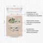 Yankee Candle tuoksukynttilä Seaside Woods 567 g hinta ja tiedot | Kynttilät ja kynttilänjalat | hobbyhall.fi