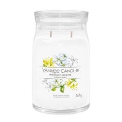 Yankee Candle tuoksukynttilä Midnight Jasmine 567 g hinta ja tiedot | Kynttilät ja kynttilänjalat | hobbyhall.fi