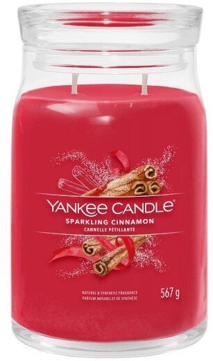 Yankee Candle tuoksukynttilä Sparkling Cinnamon 567 g hinta ja tiedot | Kynttilät ja kynttilänjalat | hobbyhall.fi