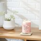 Yankee Candle tuoksukynttilä Pink Sands 567 g hinta ja tiedot | Kynttilät ja kynttilänjalat | hobbyhall.fi