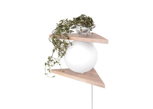 Seinävalaisin Angolo Tree hinta ja tiedot | Seinävalaisimet | hobbyhall.fi