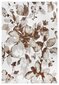 Hanse Home matto Floral 160x235 cm hinta ja tiedot | Isot matot | hobbyhall.fi