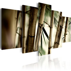 Kuva - Asian bamboo forest hinta ja tiedot | Taulut | hobbyhall.fi