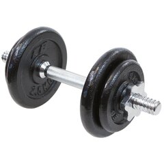 Painot, eb fit, 10 kg hinta ja tiedot | Käsipainot, kahvakuulat ja voimaharjoittelu | hobbyhall.fi