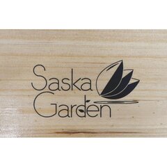 Piknik-setti, Saska Garden hinta ja tiedot | Puutarhakalusteet | hobbyhall.fi