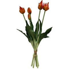 Tulppaanikimppu 5 kpl, 40 cm hinta ja tiedot | Keinotekoiset kukat | hobbyhall.fi