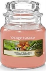 Yankee Candle The Last Paradise Candle - Scented candle 104.0g hinta ja tiedot | Kynttilät ja kynttilänjalat | hobbyhall.fi