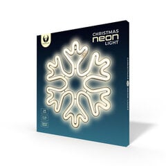Joulun lumihiutale Neon Led, valkoinen, paristot + USB FLNE20 hinta ja tiedot | Seinävalaisimet | hobbyhall.fi