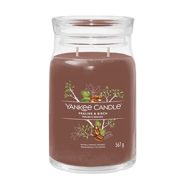 Tuoksukynttilä Yankee Candle Praline & Birch 567 g hinta ja tiedot | Kynttilät ja kynttilänjalat | hobbyhall.fi