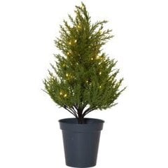 Koristepuu vihreä 55cm 40LED 3AA Thuja 600-25 hinta ja tiedot | Joulukoristeet | hobbyhall.fi