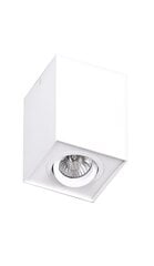 Kattovalaisin Maxlight Basic mallisto valkoinen 1xGU10 C0070 hinta ja tiedot | Basic Square Huonekalut ja sisustus | hobbyhall.fi