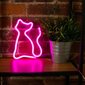 Neonvalo LED CAT Pink Bat + USB FLNEO4 hinta ja tiedot | Sisustustuotteet | hobbyhall.fi