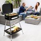 Sähkögrilli Cecotec PerfectCountry BBQ 2000W hinta ja tiedot | Grillit | hobbyhall.fi