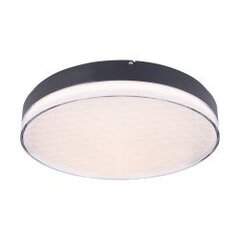 54W LED kattovalaisin Maxlight Sekko collection musta Ø48cm 3000K 4320lm C0218 hinta ja tiedot | Kattovalaisimet | hobbyhall.fi