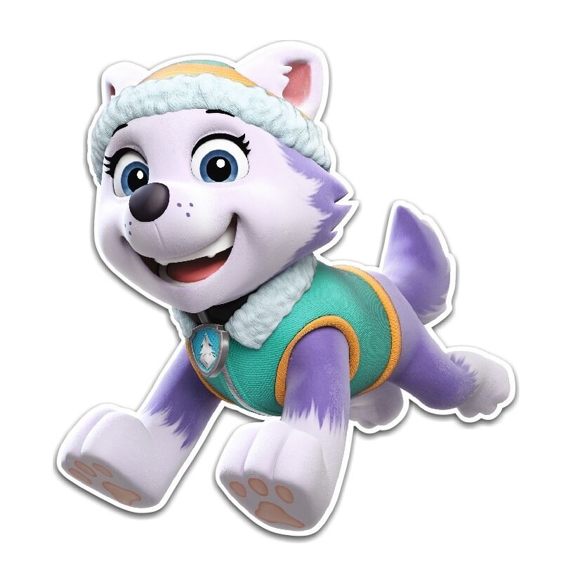 Kaksikerroksinen seinäkoriste Paw Patrol - Everest hinta ja tiedot | Sisustustarrat | hobbyhall.fi