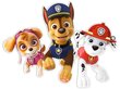 Kaksikerroksinen seinäkoriste Paw Patrol - Skye, Chase, Marshall hinta ja tiedot | Sisustustarrat | hobbyhall.fi