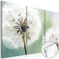 Akryylilasitaulu - Fluffy Dandelions [Glass] hinta ja tiedot | Taulut | hobbyhall.fi