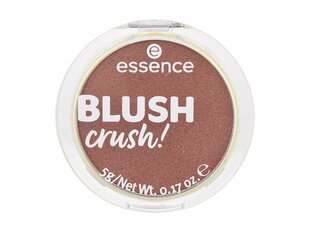 Skaistalai Essence Blush Crush! 5 g hinta ja tiedot | Aurinkopuuterit ja poskipunat | hobbyhall.fi