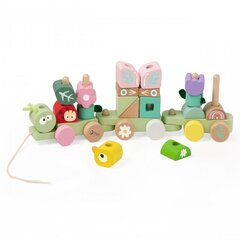 Puinen Montessori-opetusjuna, Classic World hinta ja tiedot | Classic World Lapset | hobbyhall.fi