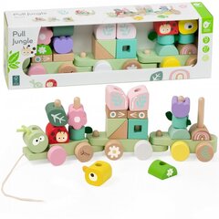 Puinen Montessori-opetusjuna, Classic World hinta ja tiedot | Vauvan lelut | hobbyhall.fi