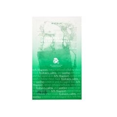 Ravitseva kasvonaamio Axis-Y Mugwort Green Vital Energy Complex Sheet Mask, 27 ml hinta ja tiedot | Kasvonaamiot ja silmänalusaamiot | hobbyhall.fi