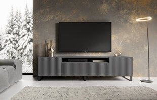 TV-kaappi ADRK Furniture Noemi, harmaa hinta ja tiedot | TV-tasot | hobbyhall.fi