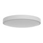 Yeelight Ceiling Light C2001C550 hinta ja tiedot | Kattovalaisimet | hobbyhall.fi