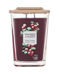Yankee Candle tuoksukynttilä Candied Cranberry hinta ja tiedot | Kynttilät ja kynttilänjalat | hobbyhall.fi