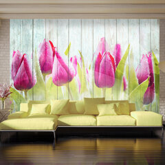 Valokuvatapetti - Tulips on white wood 250x175 cm hinta ja tiedot | Valokuvatapetit | hobbyhall.fi