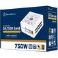 SilverStone SST-DA750R-GMA-WWW, PC-virtalähde hinta ja tiedot | Virtalähteet | hobbyhall.fi