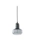 TK Llighting riippuvalaisin Vichy 2320 hinta ja tiedot | Riippuvalaisimet | hobbyhall.fi