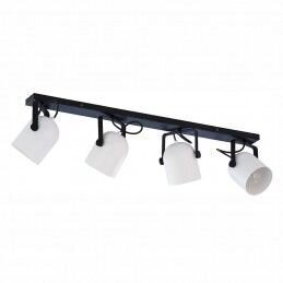 TK Lighting kattovalaisin Spectra black/white 3492 hinta ja tiedot | Kattovalaisimet | hobbyhall.fi