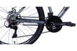 Polkupyörä MTB Discovery Bastion Disc 26", harmaa hinta ja tiedot | Polkupyörät | hobbyhall.fi