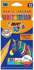 BIC, Evolution Stripes -kynäsarja, 12 väriä hinta ja tiedot | Taide- ja askartelutarvikkeet | hobbyhall.fi
