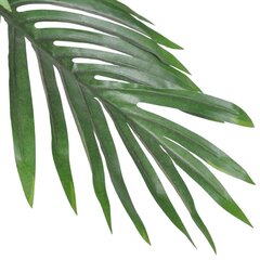 Koriste Palmu, 80 cm hinta ja tiedot | Keinotekoiset kukat | hobbyhall.fi