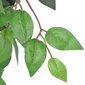 Keinotekoinen ficus ruukulla, 90 cm hinta ja tiedot | Keinotekoiset kukat | hobbyhall.fi