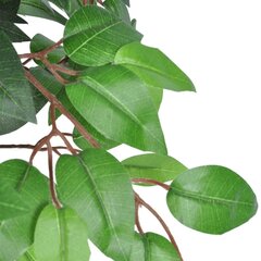 Keinotekoinen ficus ruukulla, 110 cm hinta ja tiedot | Keinotekoiset kukat | hobbyhall.fi