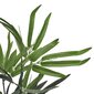 Keinotekoinen bambu, 80 cm hinta ja tiedot | Keinotekoiset kukat | hobbyhall.fi