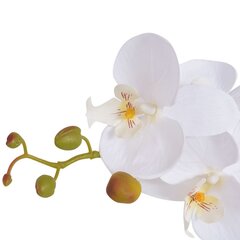 Keinotekoinen orkidea ruukulla, 65 cm, valkoinen hinta ja tiedot | Keinotekoiset kukat | hobbyhall.fi