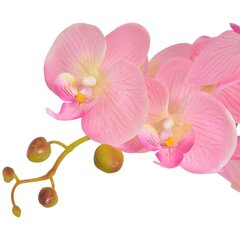 Keinotekoinen orkidea ruukulla, 65 cm, pinkki hinta ja tiedot | Keinotekoiset kukat | hobbyhall.fi