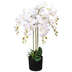 Keinotekoinen orkidea ruukulla, 75 cm, valkoinen hinta ja tiedot | Keinotekoiset kukat | hobbyhall.fi