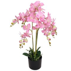 Keinotekoinen orkidea ruukulla, 75 cm, vaaleanpunainen hinta ja tiedot | Keinotekoiset kukat | hobbyhall.fi